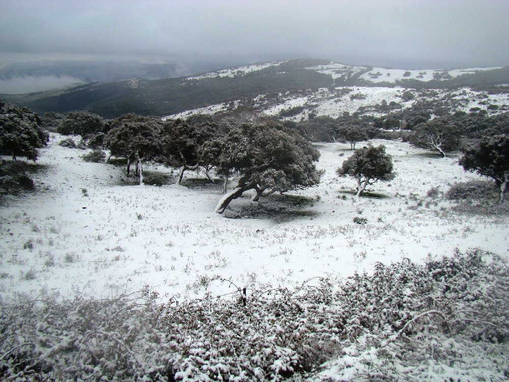 Montresta sotto la neve